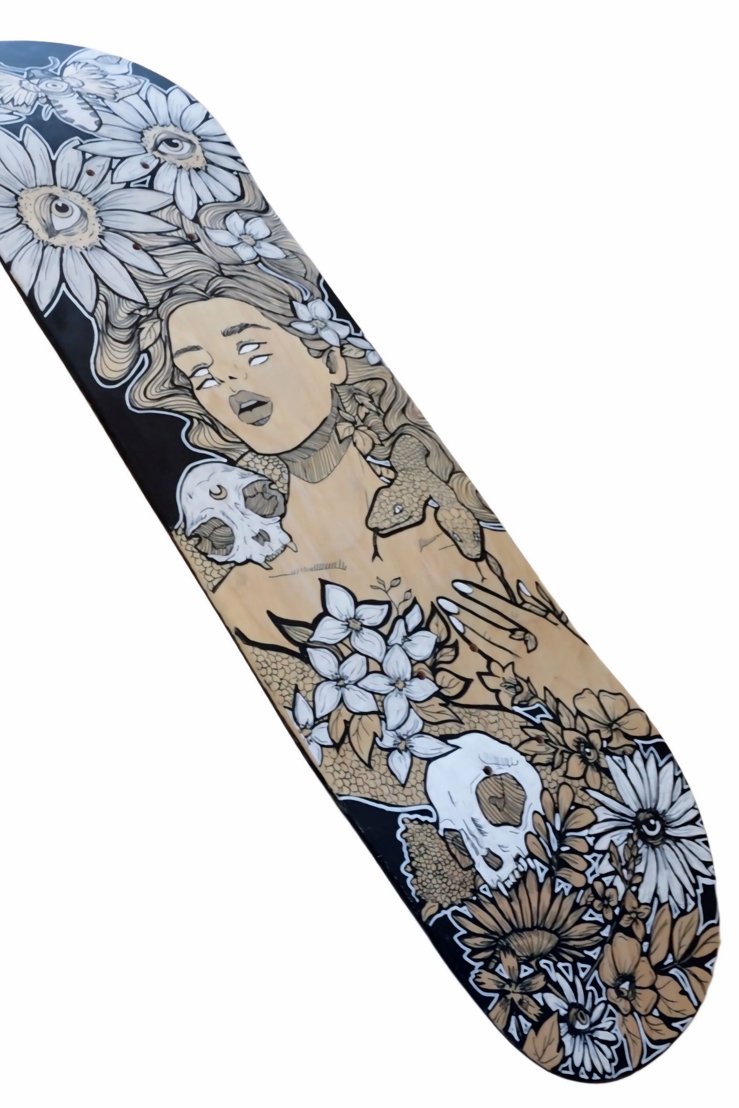 SKATE NONIM